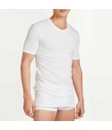 Maglia intima uomo cotone e lana Ragno 065457