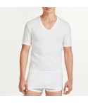 Maglia uomo manica corta cotone e lana Ragno 065458