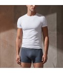 Maglie uomo Enrico Coveri et1000 cotone elasticizzato 3 pz