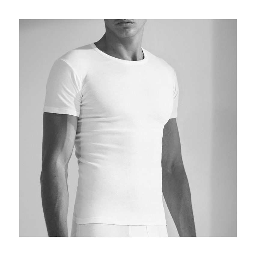 Maglia uomo a girocollo Enrico Coveri ET1130 cotone filo di scozia 3 pz