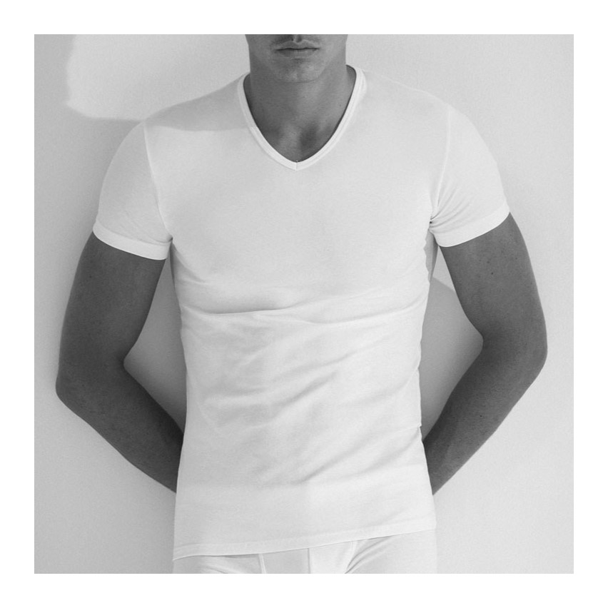Maglia uomo a punta Enrico Coveri ET1131 cotone filo di scozia 3 pz