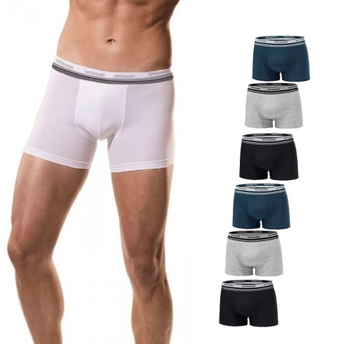 Boxer Nottingham BX80.M-19